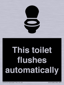 This toilet flushes automatically